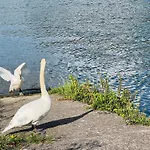 Mes Caprices Mosan Bord De Meuse 4* Namur