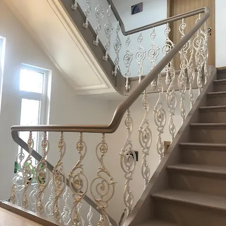 Mes Caprices Mosan Bord De Meuse