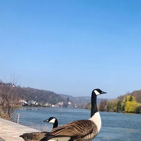 Mes Caprices Mosan Bord De Meuse