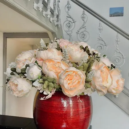 Mes Caprices Mosan Bord De Meuse Namur