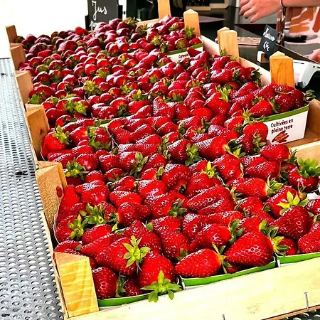 Mes Caprices Mosan Bord De Meuse ベッド・アンド・ブレックファスト 4*