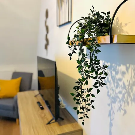 Mes Caprices Mosan Bord De Meuse