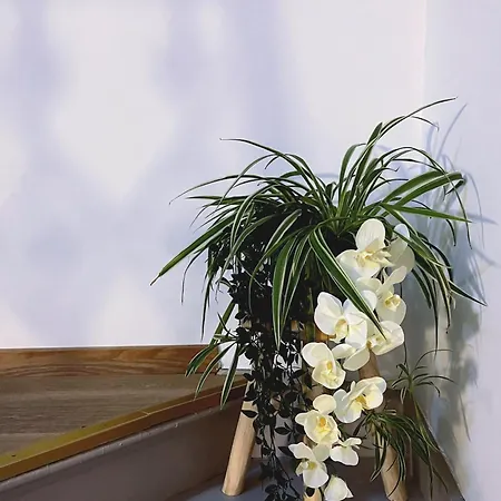 ベッド・アンド・ブレックファスト Mes Caprices Mosan Bord De Meuse 4*