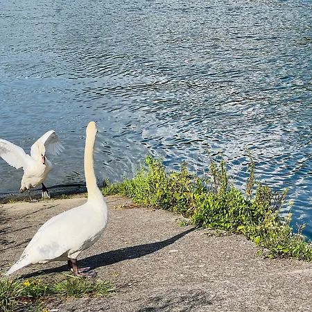 Mes Caprices Mosan Bord De Meuse 4* ナミュール