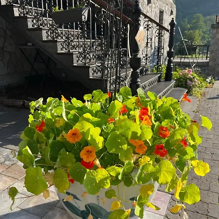 Bed & Breakfast Mes Caprices Mosan Bord De Meuse 4*