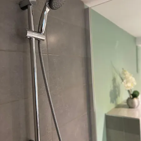 Mes Caprices Mosan Bord De Meuse 4* ナミュール