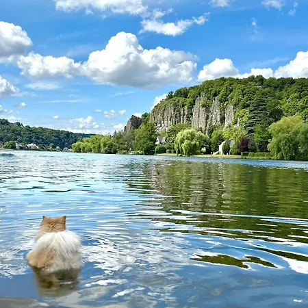 Mes Caprices Mosan Bord De Meuse Namur